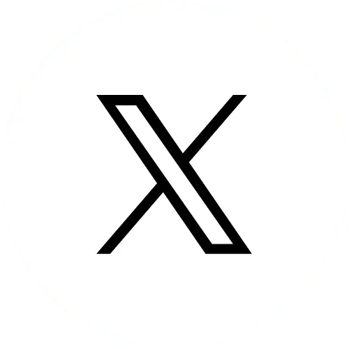 x icon